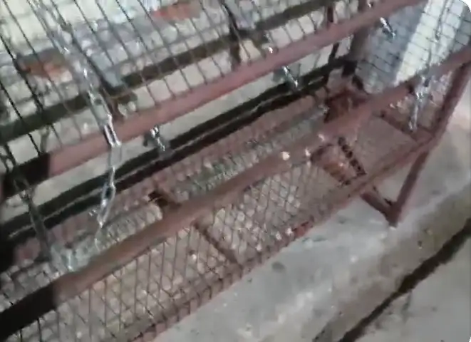 பாபநாச சுவாமி கோயில் குடிநீர் சுத்திகரிப்பு கருவி