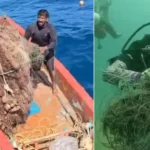 கடலில் இருந்து குப்பைகளை அகற்றும் சிறுமி தாரகை ஆராதனா