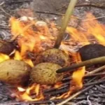 ஆடி 1 பண்டிகையின் போது தேங்காய் சுடும் காட்சி