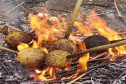 ஆடி 1 பண்டிகையின் போது தேங்காய் சுடும் காட்சி