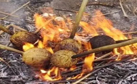 ஆடி 1 பண்டிகையின் போது தேங்காய் சுடும் காட்சி
