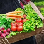 ஆரோக்கியமான உணவுப் பழக்கவழக்கங்கள் குறித்த ஆலோசனை