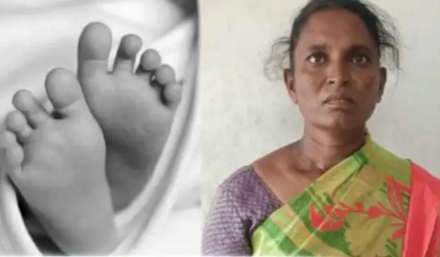 கைது செய்யப்பட்ட பாட்டி தங்கமணி