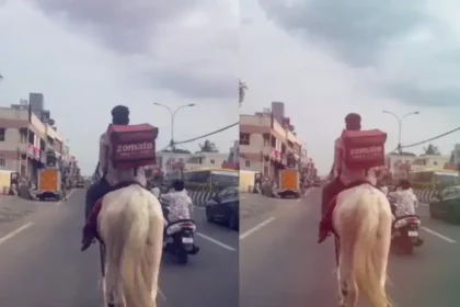 சென்னையில் குதிரையில் Zomato உணவு டெலிவரி செய்யும் ஊழியர்