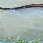 சீனாவில் கனமழை காரணமாக வெள்ளத்தால் பாதிக்கப்பட்ட பகுதி