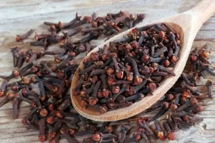 கிராம்பு மற்றும் பற்பொடி கலந்த கலவை