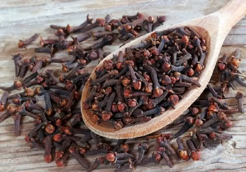 கிராம்பு மற்றும் பற்பொடி கலந்த கலவை
