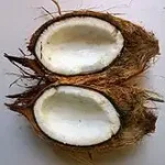 காலையில் வெறும் வயிற்றில் தேங்காய் சாப்பிடும் நபர்