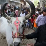 உச்ச நீதிமன்ற நீதிபதிகள் அமர்வு