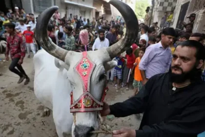 உச்ச நீதிமன்ற நீதிபதிகள் அமர்வு