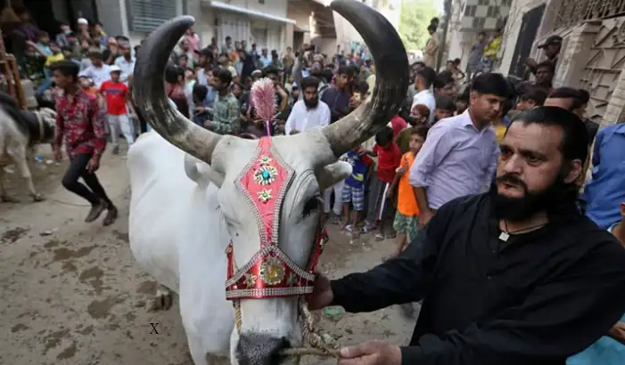 உச்ச நீதிமன்ற நீதிபதிகள் அமர்வு