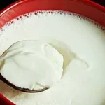 தயிர் மற்றும் பச்சை வெங்காயம்