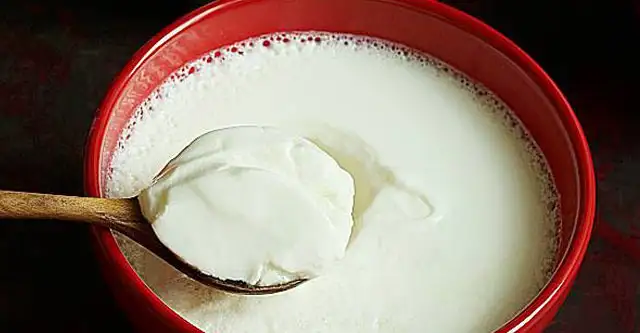 தயிர் மற்றும் பச்சை வெங்காயம்