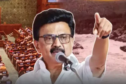 திமுக தலைவர் மு.க.ஸ்டாலின் நாடாளுமன்ற கூட்டம் குறித்து பேசுகிறார்