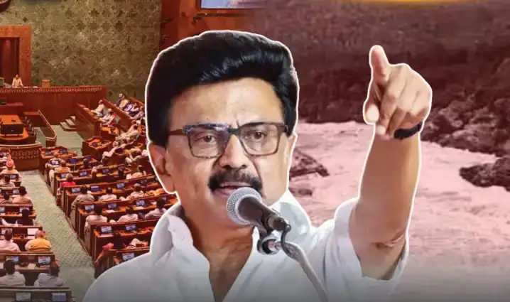 திமுக தலைவர் மு.க.ஸ்டாலின் நாடாளுமன்ற கூட்டம் குறித்து பேசுகிறார்
