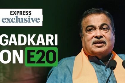 E20 பெட்ரோல் கலப்பு குறித்த விளக்கப்படம்