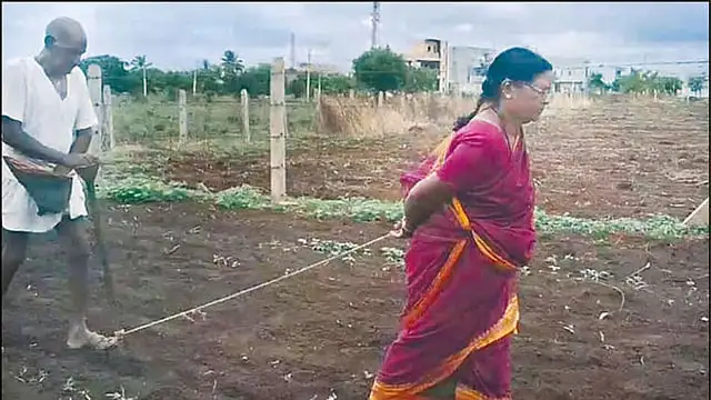 நிலத்தை ஏர்கலப்பையால் உழும் விவசாயி மற்றும் அவரது மனைவி
