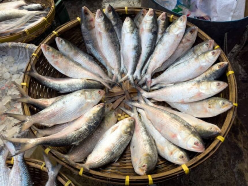 ஆரோக்கியமான மீன் உணவு