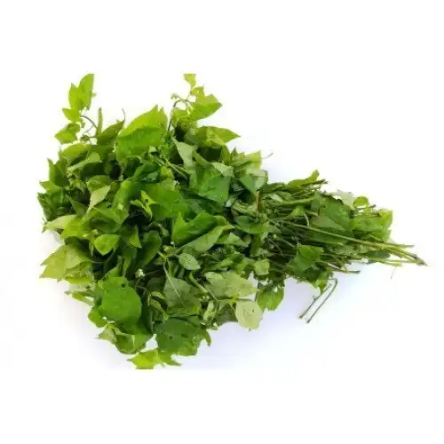முடக்கத்தான் கீரை செடி மற்றும் அதன் இலைகள்