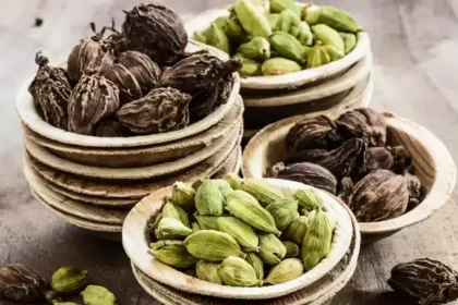 ஆயுர்வேத மூலிகைகள் மற்றும் மசாலாப் பொருட்கள்