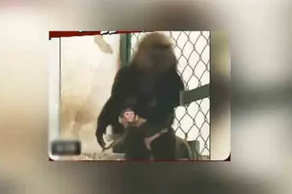 திருவனந்தபுரம் உயிரியல் பூங்காவில் பிறந்த நீலகிரி கருங்குரங்கு குட்டி