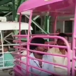 பழனி முருகன் கோவில் ரோப் கார் நிலையம்
