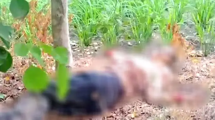 பஞ்சாபில் ஆணவக்கொலையால் உயிரிழந்த மஹாக்பிரீத் கவுர் உடலை காவல்துறையினர் ஆய்வு செய்கின்றனர்