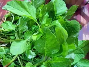 ஆரோக்கியமான உணவுகளின் தொகுப்பு, இதில் பழங்கள், கீரைகள் மற்றும் கொட்டைகள் அடங்கும்.
