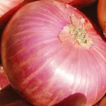 முளைவிட்ட வெங்காயம்