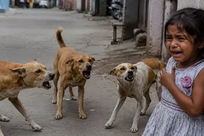 தூத்துக்குடியில் வெறிநாய் கடித்து காயமடைந்தவர்களை மருத்துவமனையில் அனுமதித்தல்