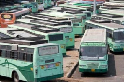 தமிழக அரசு போக்குவரத்து கழக வேலைவாய்ப்பு அறிவிப்பு