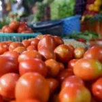 ஆரோக்கியமான தக்காளி ஜூஸ் கோப்பையுடன் ஒருவர்