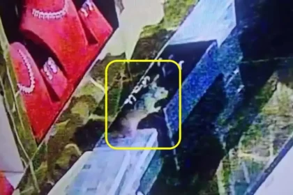 துமகூரு நகைக்கடையில் திருடு போன வைர நகைகள் மீட்கப்பட்ட காட்சி
