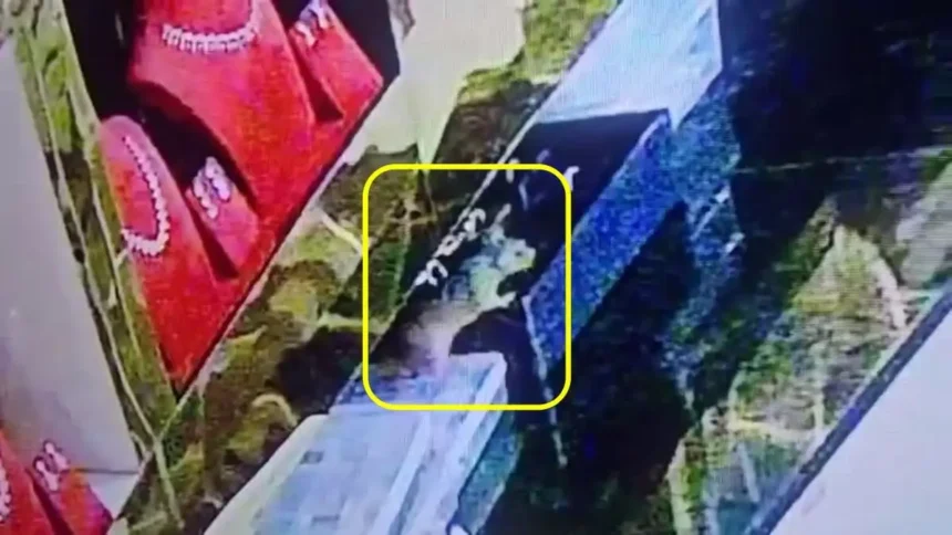 துமகூரு நகைக்கடையில் திருடு போன வைர நகைகள் மீட்கப்பட்ட காட்சி