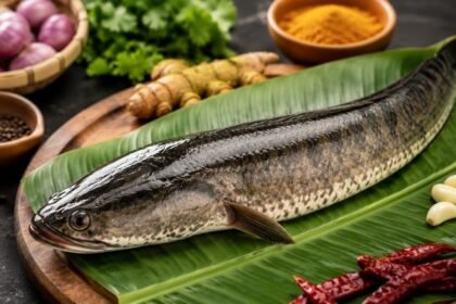 விரால் மீன்