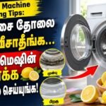 வாஷிங் மெஷின் டிரம்மில் எலுமிச்சை தோல் துண்டுகள்