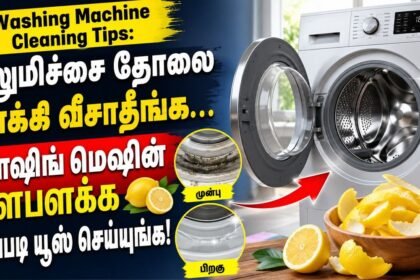 வாஷிங் மெஷின் டிரம்மில் எலுமிச்சை தோல் துண்டுகள்