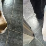 அழுக்கான வெள்ளை சாக்ஸ்களை சுத்தம் செய்யும் முறை