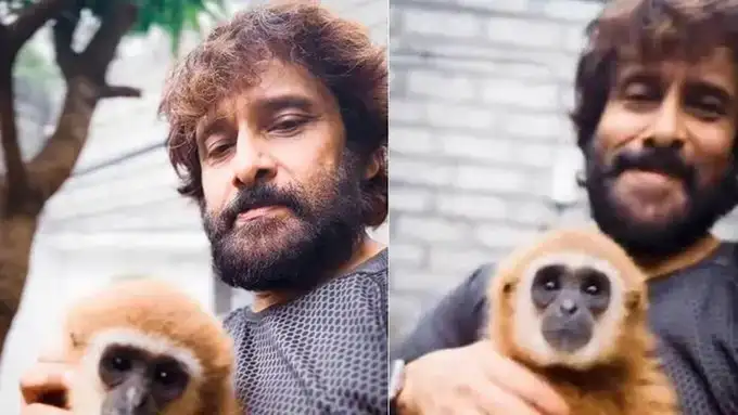 நடிகர் விக்ரம் வனத்துறை நோட்டீஸ் தொடர்பாக