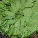வெற்றிலை மருத்துவ பயன்கள்