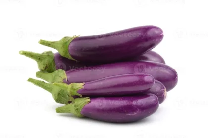 ஆரோக்கியமான கத்திரிக்காய் காய்கறி