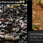ChatGPT உதவியுடன் செருப்பை கண்டுபிடித்த இளைஞர்