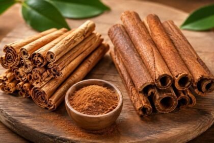 பட்டை துண்டுகள் மற்றும் பட்டை தூள்