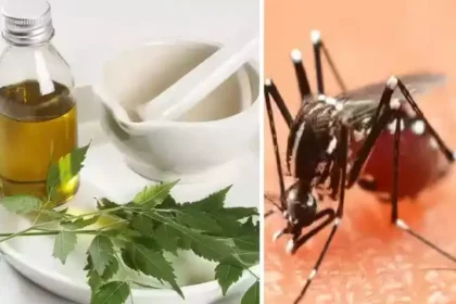 வீட்டில் தயாரிக்கப்பட்ட கொசு விரட்டி பொருட்கள்