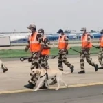 சென்னை விமான நிலையத்தில் பாதுகாப்பு சோதனைகள்