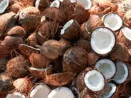 தேங்காய் பாலின் ஆரோக்கிய நன்மைகள் பற்றிய விளக்கப்படம்