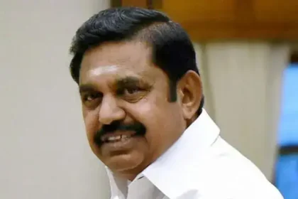 பாதிக்கப்பட்ட நெற்பயிர்களை பார்வையிடும் விவசாயிகள்