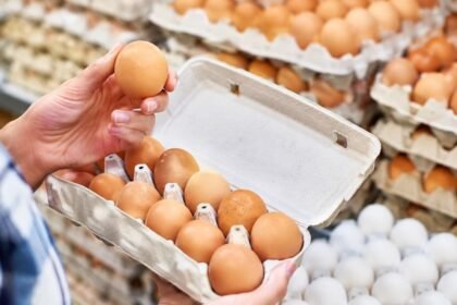புதிய முட்டைகளை வாங்குவது குறித்த தகவல்