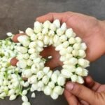 மல்லிகைப் பூ மாலை கட்டும் முறை