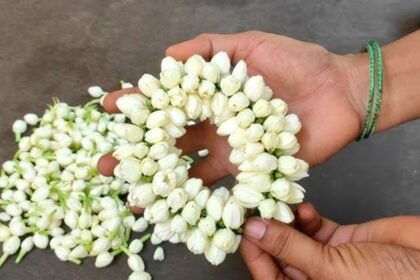 மல்லிகைப் பூ மாலை கட்டும் முறை